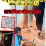 भालू घर में घुसा, बाघ सड़क पर दिखा… सवाल जानवरों का नहीं, जंगल के उजड़ने का है